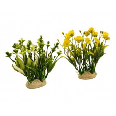 ΔΙΑΚΟΣΜΗΤΙΚΟ ΦΥΤΟ ΕΝΥΔΡΕΙΟΥ ΣΕ 2 ΧΡΩΜΑΤΑ 14CM